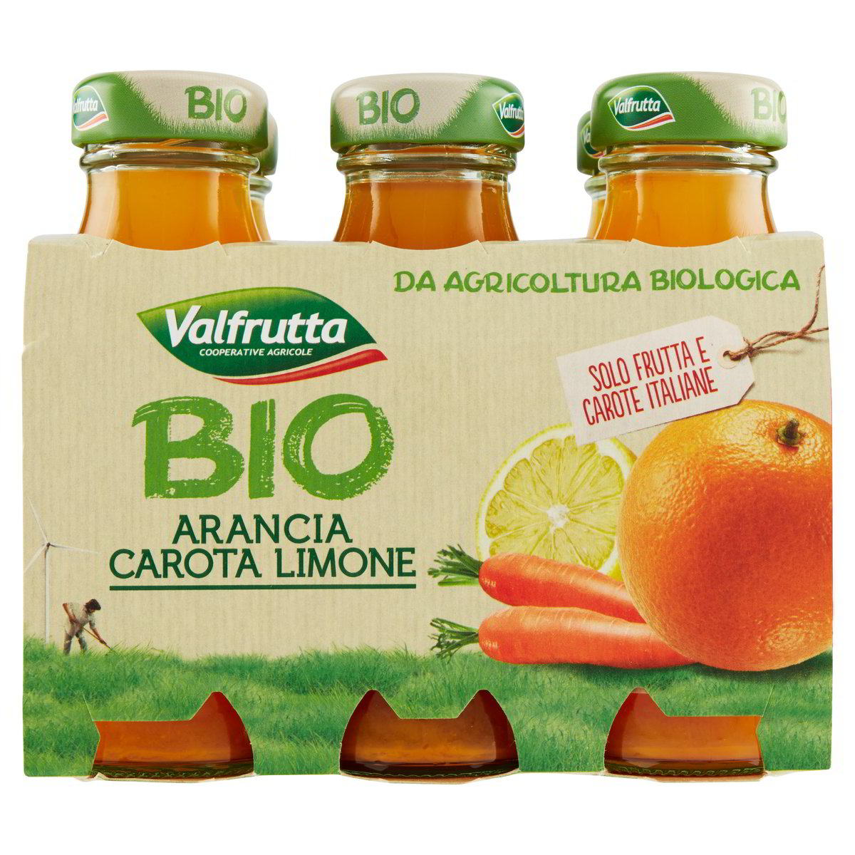 Valfrut Suc Bio X6 Ace Ml 125